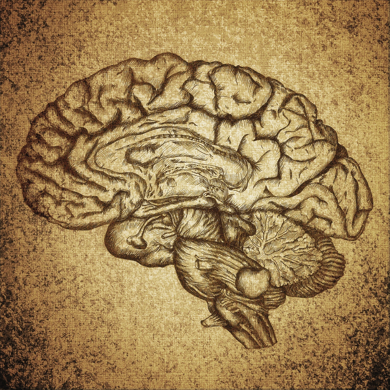 cover-image